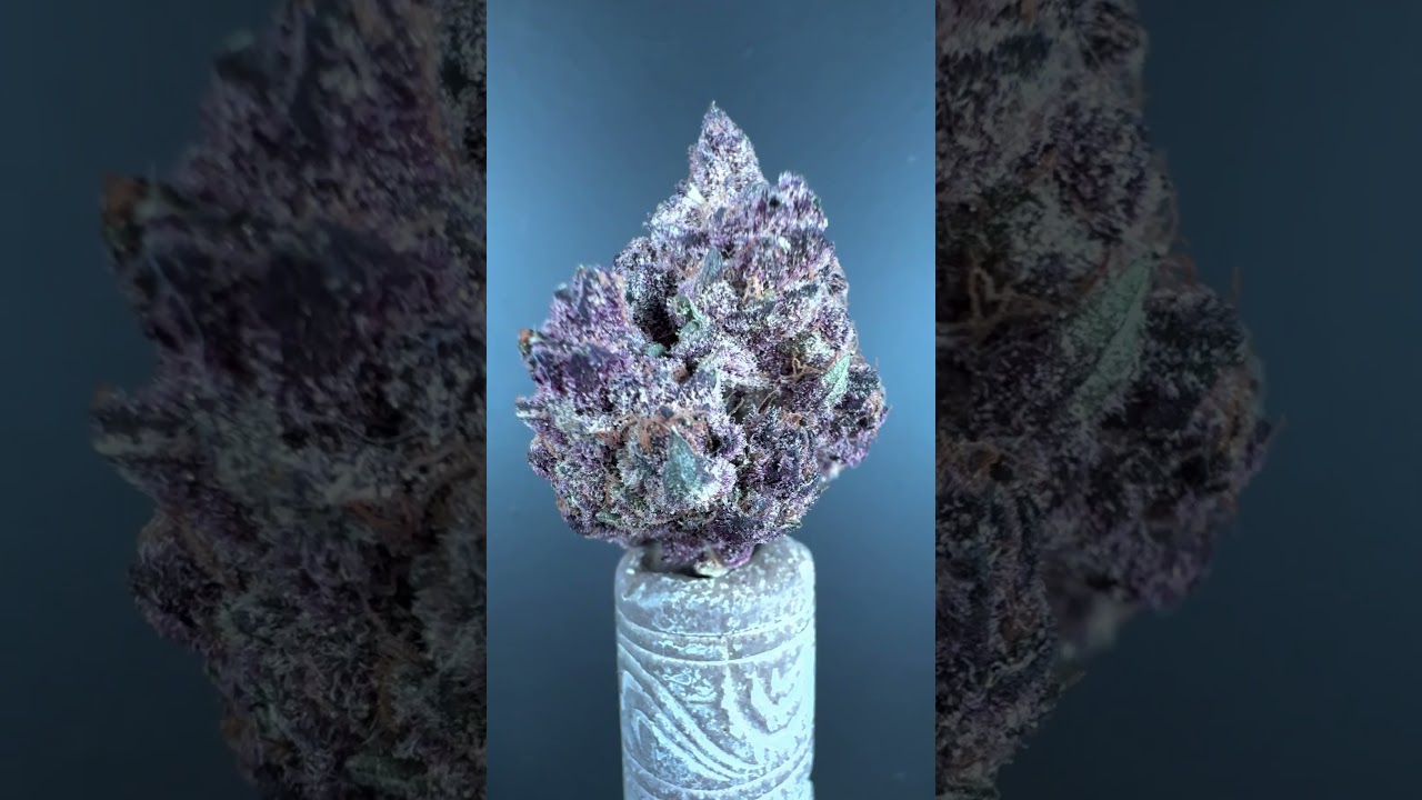 🔥FLORACIÓN CON ERRORES - DÍA 42 💡TE LANZO UNA PREGUNTA 