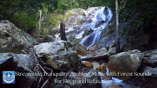 Streamside Tranquility: Ambient Music with Forest Sounds for Sleep and Relaxation