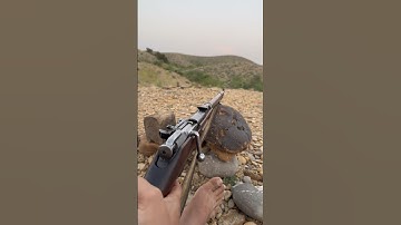 Mosin-Nagant 91/30PU Sniper#trending #shorts #feed #viralvideo