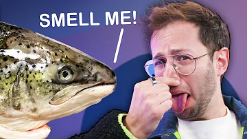 Guess The Fish: Smell Challenge