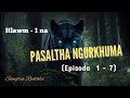 Pasaltha ngurkhuma  1  7 a hlawmin