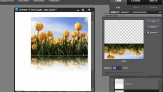 How to Create a Reflection in Photoshop Elements