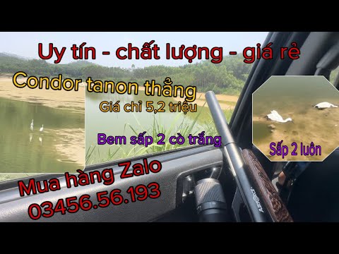 Condors Rdo Condor tanon thẳng bem sấp đôi cò trắng cự li 60 mét giá chỉ 5,5tr ae ...