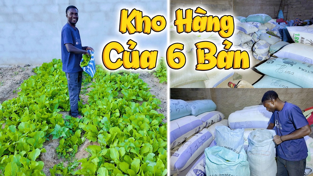 Sốc Với Kho Hàng TẬP KẾT NÔNG SẢN CỦA 6 BẢN Đưa Đi Thành Phố Bán, Số Lượng Cỡ Nào?