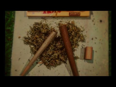 NotoRyazz Hood Melody UnOfficial Lyrics Video 