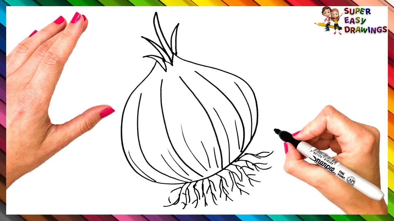 How to draw onion / Onion drawing - YouTube