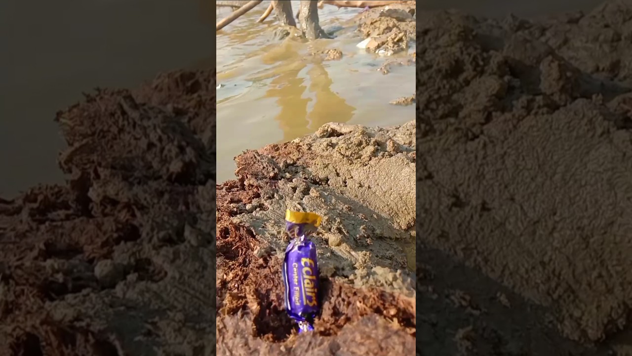 "Decadent Delight: Watch Us Unbox Exquisite Chocolate Éclairs That Will Leave You Wanting More!"