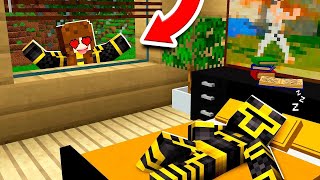 Eine Abonnentin spioniert Massi in seinem Minecraft-Haus aus! 😳