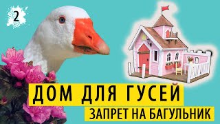 КАК ПОСТРОИТЬ ДОМ ДЛЯ ГУСЕЙ. СТРОЙКА В ПАРКЕ.