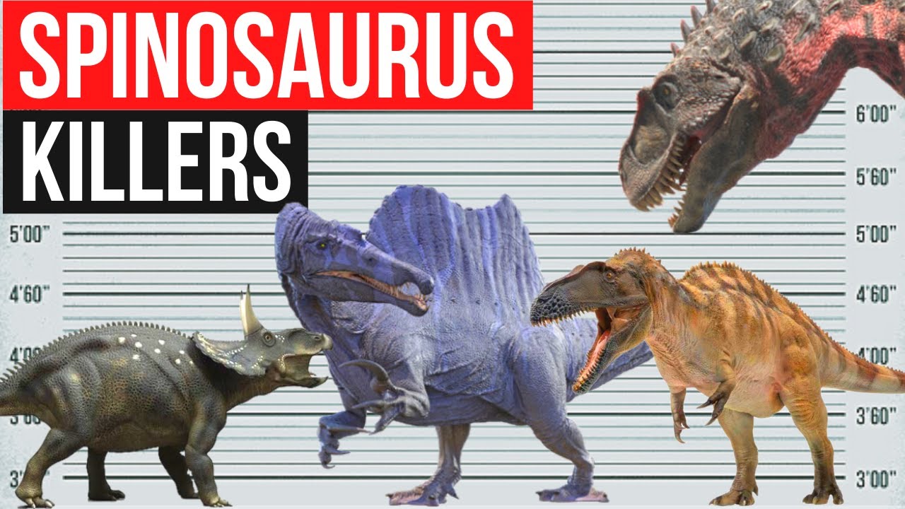 Dinosaurs that could KILL a SPINOSAURUS | & Size Comparison - YouTube