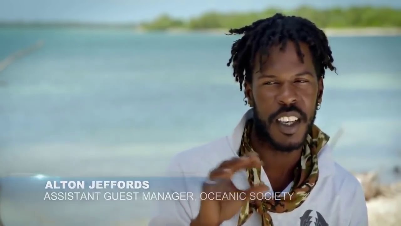 Belize, Great blue wild   Wildlife Animals