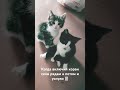 Успокоение не только для нас )))