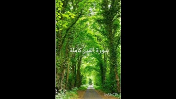 شيخ محمد رعد الكردي سورة القدر كاملة