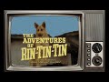 Rin Tin Tin - Quem lembra desta série???