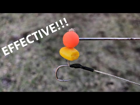 Tandem Baits 22 Stuks Carp Hook Baits Box XXL | Mini Pop Up Boilies 12 Mm | Pop Up Boilies 16 Mm | Diffusion Booster Attractor | Karper Visaccessoires Professioneel & Hobby