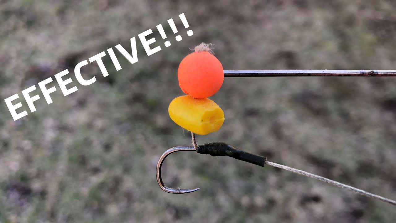 BIG Carp on MINI PopUp Boilies (A Deadly Tactic!) YouTube