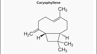 Rearrangements in caryophellene