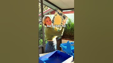 MyHealthySoap.com #naturalsoapmaking #handmadesoap #barsoap #artisansoap #soapbusiness