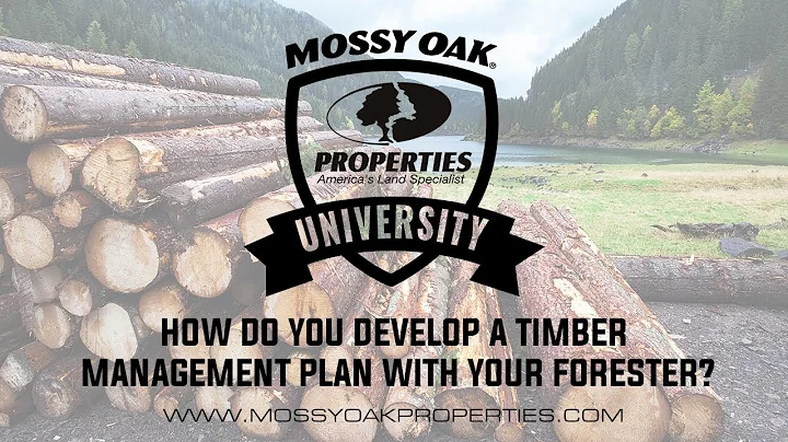 How Do You Develop A Timber Management Plan With Y...
