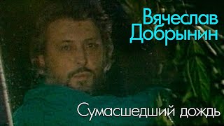 Вячеслав Добрынин - Сумасшедший дождь