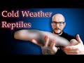Top 5 Cool Weather Cold Tolerant Reptiles