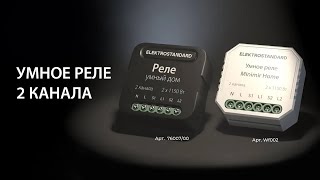 Умное двухканальное реле Elektrostandard