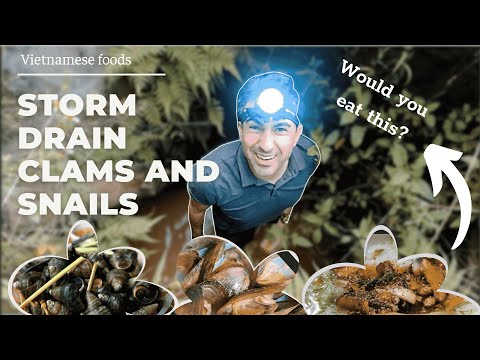 CATCHING and EATING SNAILS and CLAMS from a STORM DRAIN in VIETNAM -  ANH TÂY ĐI BẮT ỐC Ở QUÊ