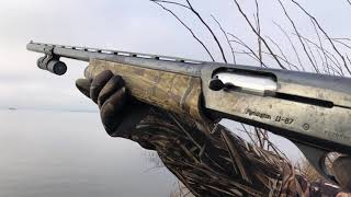 Slow Motion Shotgun