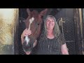 2018 TIEA Leadership Award Racing Finalist - Daisy Tobin