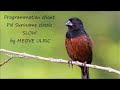 Programmation chant piko pi suriname  slow by meove ulric