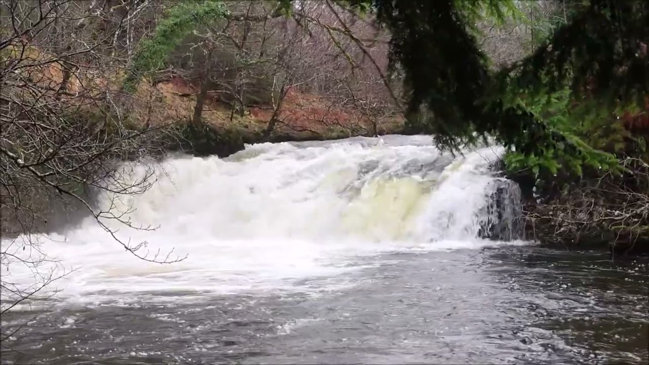 Christmas Eve Salachan