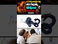 ఒక చిన్న అబద్ధం వల్ల తన గుర్రాన్ని కోల్పోయిన యజమాని | Best Motivational Story #motivation