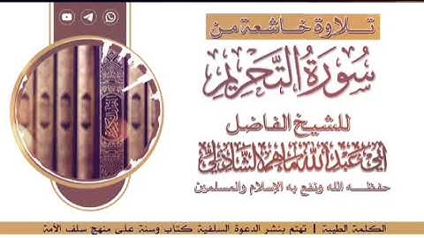 تلاوة خاشعة من سورة التحريم | للشيخ / أبي عبدالله ماهر الشاذلي حفظه الله