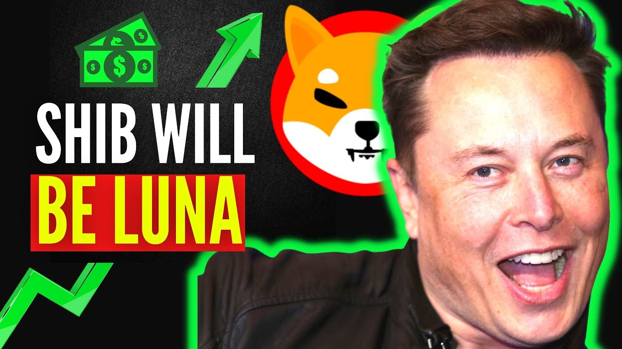 Elon Musk Warned: Shiba Inu Coin Could Become the Next Terra Luna! Watch If You Hold SHIB!