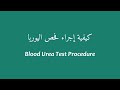 كيفية اجراء فحص اليوريا (عملي) Blood Urea Test Procedure