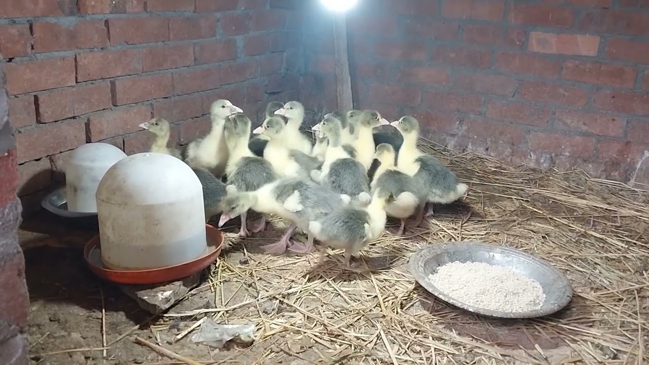 تعالى اقولك على فكره مش هتندمى عليها بس متنيش الحاجه من دعواتك