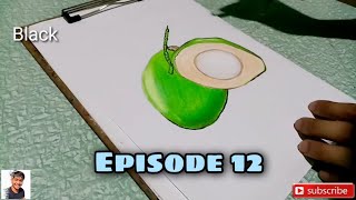 How to Draw a Coconut | Coconut Drawing