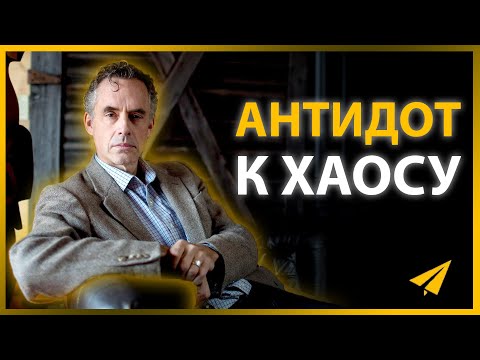 Видео: Лучшие куклы-щенки в Интернете