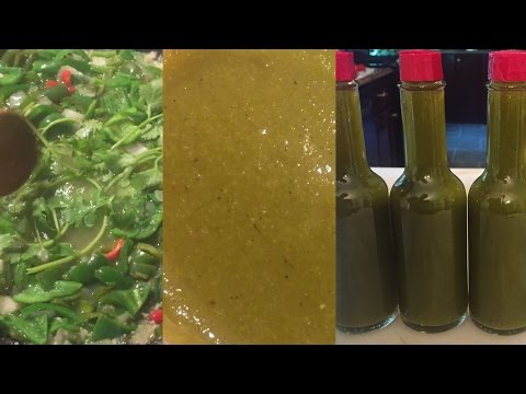 DIY How to make Homemade Jalapeno Hot Sauce from scratch using homegrown peppers Salsa Verde