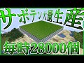 作業厨が最強効率サボテン工場を建築してきた part16