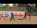 Young Horse Showjumping Training Part 3