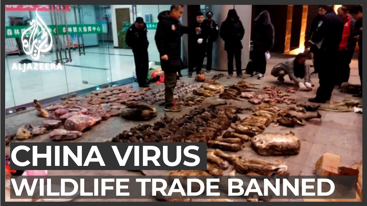 China cracks down on wildlife trade amid coronavirus outbreak
