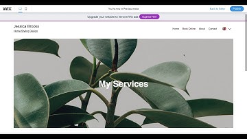 How to change color theme for your wix website