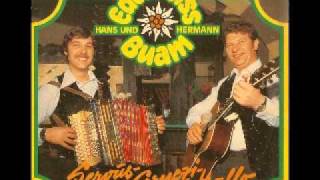 Video thumbnail of "Edelweiss Buam Hans&Hermann - Oh du mein Steirerland"