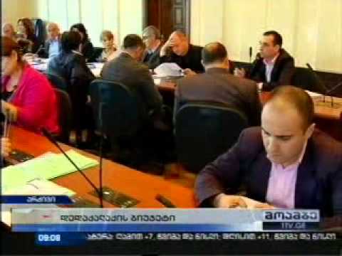 ირაკლი აბესაძე დოკუმენტში არსებულ ხარვეზებზე საუბრობს