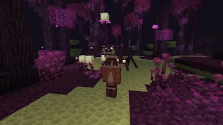 Updated End?! Endergetic Expansion Mod! - Minecraft Mod Minis