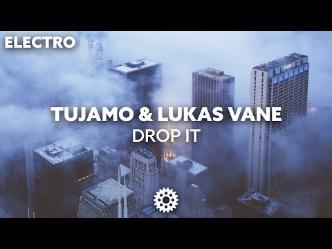 TUJAMO & Lukas Vane - Drop It