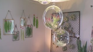 Take A Virtual Tour Of Bachman's Spring Ideas Home