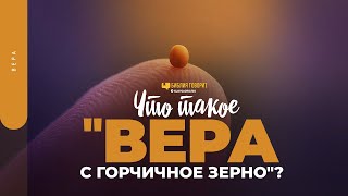 Что такое «вера с горчичное зерно»? | 