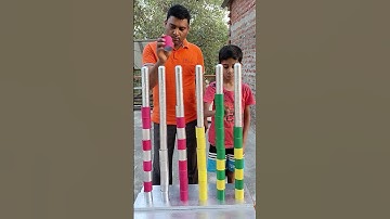 Colours Sorting Challenge Game #like #subscribe #shorts #shortvideo #india #youtubeshorts #🌲❤🌹💯💐🇮🇳🙏💲